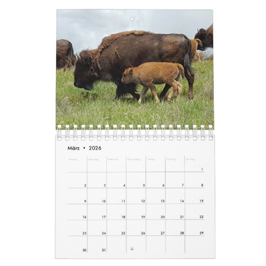 Bison Kalender (Mar 2026)