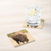 Bison Kartonnen Onderzetters (Insitu)