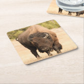 Bison Kartonnen Onderzetters (Schuin)