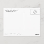 Bison Koe en Calf Schilderachtig Briefkaart (Achterkant)