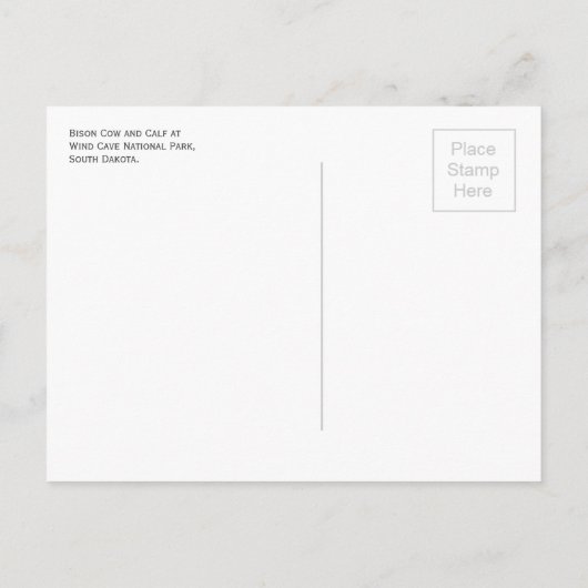 Bison Koe en Kalf, Wind Cave National Park SD Briefkaart (Achterkant)