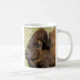 BISON KOFFIEMOK