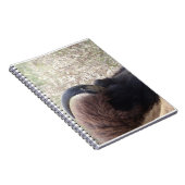 Bison kop liggen notitieboek (Rechterzijde)