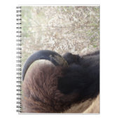 Bison kop liggen notitieboek (Voorkant)