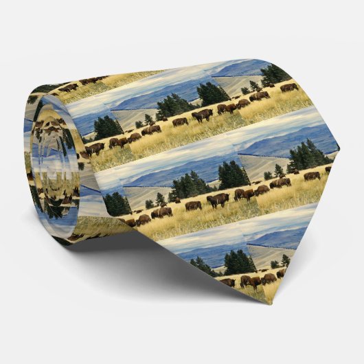 Bison kudde grazen in het National Bison Range Stropdas (Opgerold)