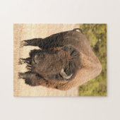 Bison Legpuzzel (Horizontaal)