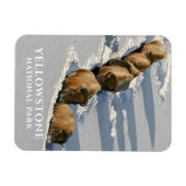 Bison Line die door diepe sneeuw loopt, geelsteen Magneet (Horizontaal)