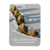 Bison Line die door diepe sneeuw loopt, geelsteen Magneet (Verticaal)