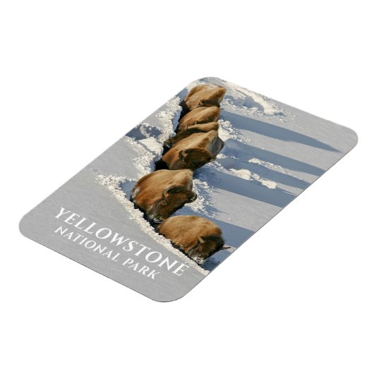 Bison Line die door diepe sneeuw loopt, geelsteen Magneet (Linkerzijde)