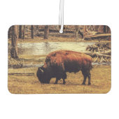 Bison Luchtverfrisser (Achterkant)