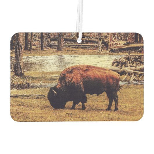 Bison Luchtverfrisser (Achterkant)