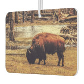 Bison Luchtverfrisser (Links)