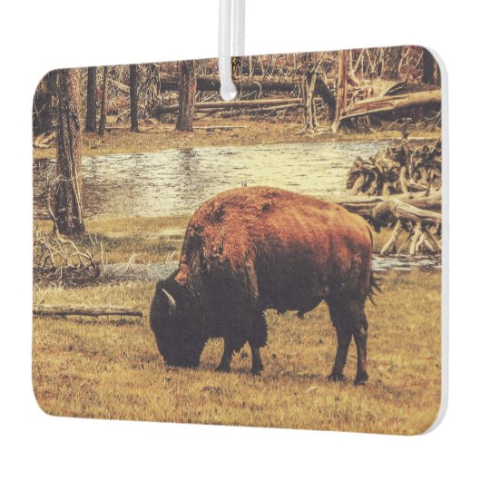 Bison Luchtverfrisser (Links)