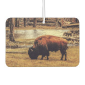 Bison Luchtverfrisser (Voorkant)