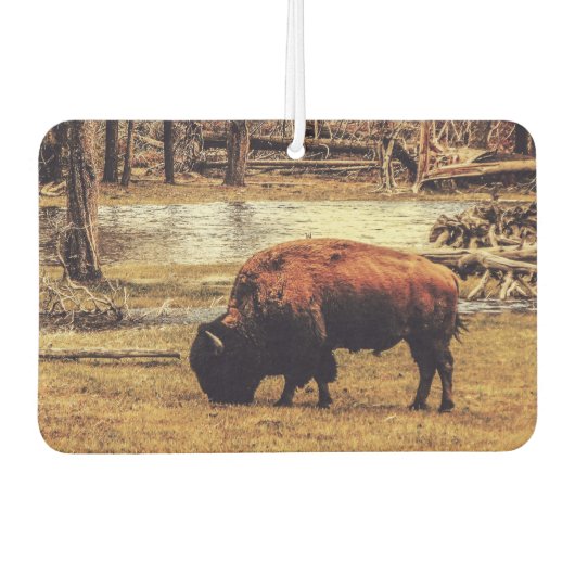 Bison Luchtverfrisser (Voorkant)