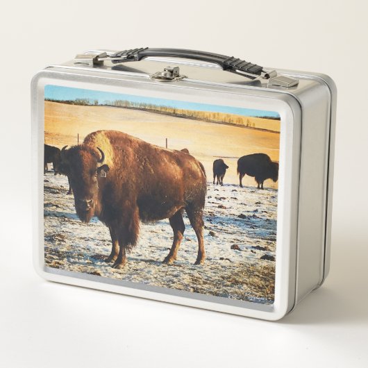 Bison Lunchbox (Voorkant)