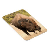 Bison Magneet (Rechterzijde)