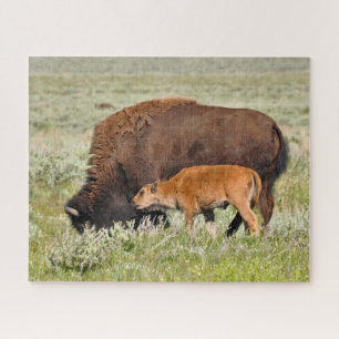 Bison Mama en Baby Design Puzzle Legpuzzel
