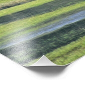 Bison met kalf in Yellowstone National Park Foto Afdruk (Hoek)