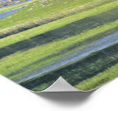 Bison met kalf in Yellowstone National Park Poster (Hoek)