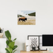 Bison met oude gelovigen in Yellowstone Poster (Thuiskantoor)