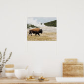 Bison met oude gelovigen in Yellowstone Poster (Keuken)