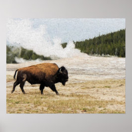 Bison met oude gelovigen in Yellowstone Poster
