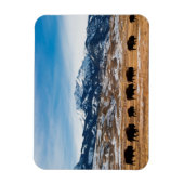 Bison-migratie Magneet (Verticaal)