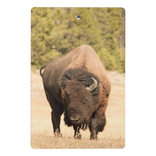 Bison Mini Klembord (Achterkant)