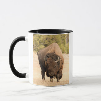 Bison Mok