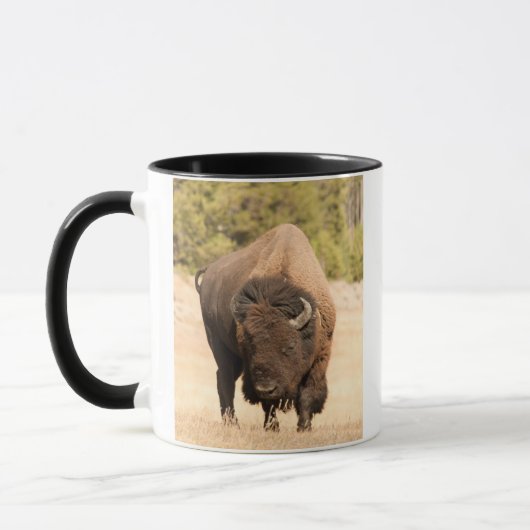 Bison Mok (Links)