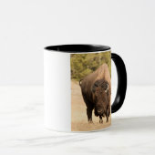 Bison Mok (Voorkant rechts)