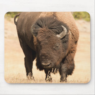 Bison Muismat