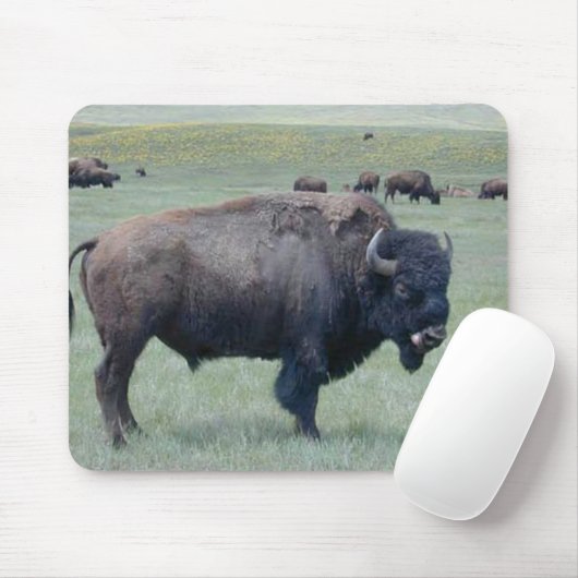 Bison Muismat (Met muis)