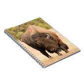 Bison Notitieboek (Rechterzijde)