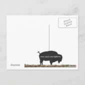 Bison of Antelope Island Briefkaart (Achterkant)