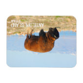 Bison of Antelope Island, Utah Magneet (Horizontaal)