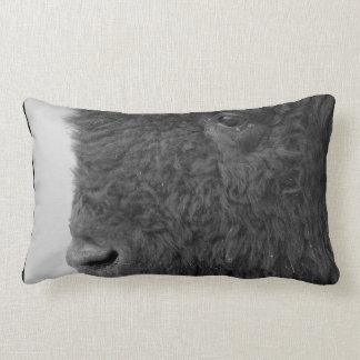 Bison of Buffalo Pillow Kussen