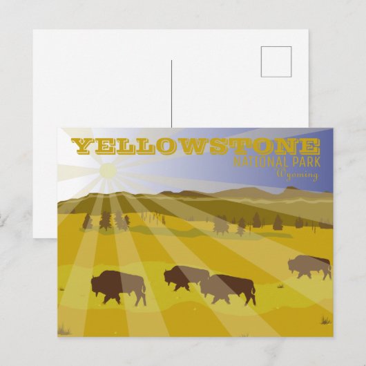 Bison of Yellowstone National Park Wyoming Briefkaart (Voorkant / Achterkant)