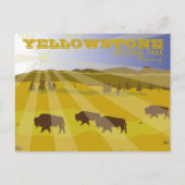 Bison of Yellowstone National Park Wyoming Briefkaart (Voorkant)