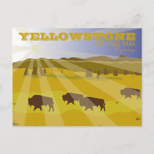 Bison of Yellowstone National Park Wyoming Briefkaart (Voorkant)