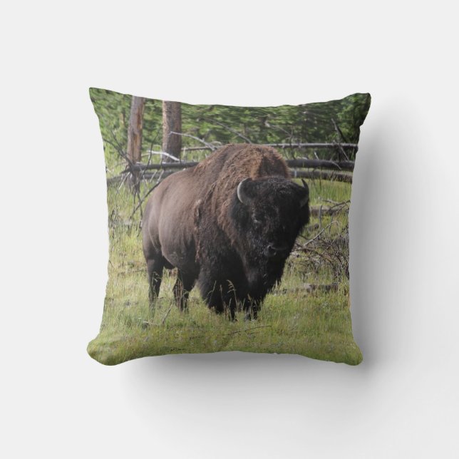 Bison of Yellowstone Photo Kussen (Voorkant)