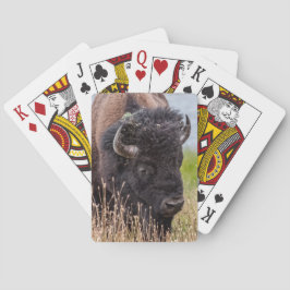 Bison (ook bekend als Buffalo) via een grote lens Pokerkaarten