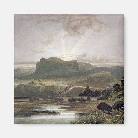 Bison op de Upper Missouri, bord 40 van Magneet (Voorkant)