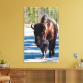 Bison op de weg in het nationale park van Yellowst Canvas Afdruk (Insitu (Woonkamer))
