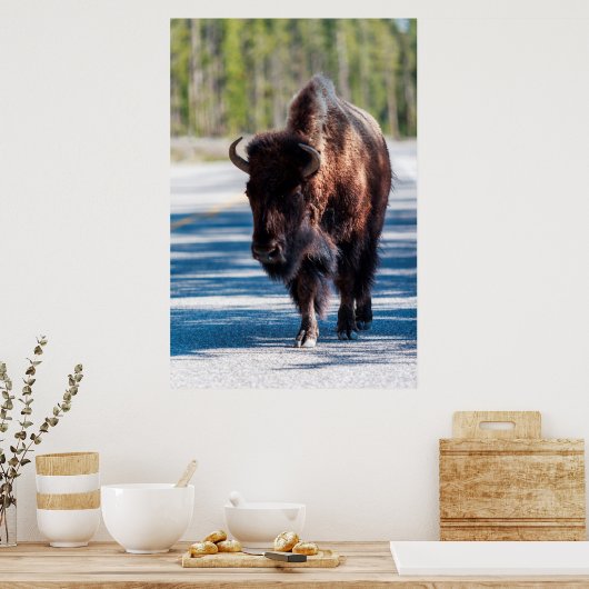 Bison op de weg in het nationale park van Yellowst Poster (Keuken)