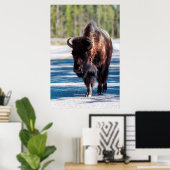 Bison op de weg in het nationale park van Yellowst Poster (Thuiskantoor)