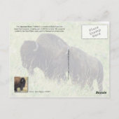 Bison pair grazing in Montana Briefkaart (Achterkant)