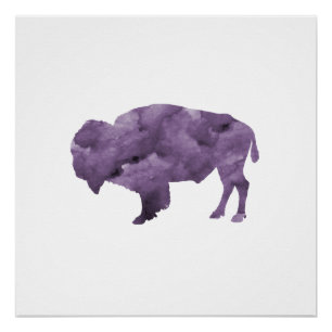 Bison Perfect Poster