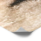 Bison Pictograaf, 9 Mile Canyon, Utah Poster (Hoek)